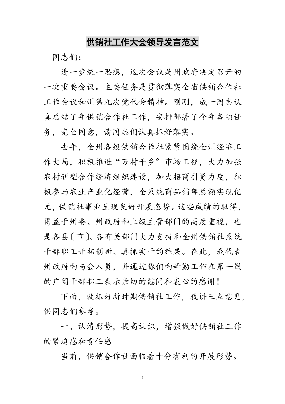 2023年供销社工作大会领导发言范文范文.doc_第1页