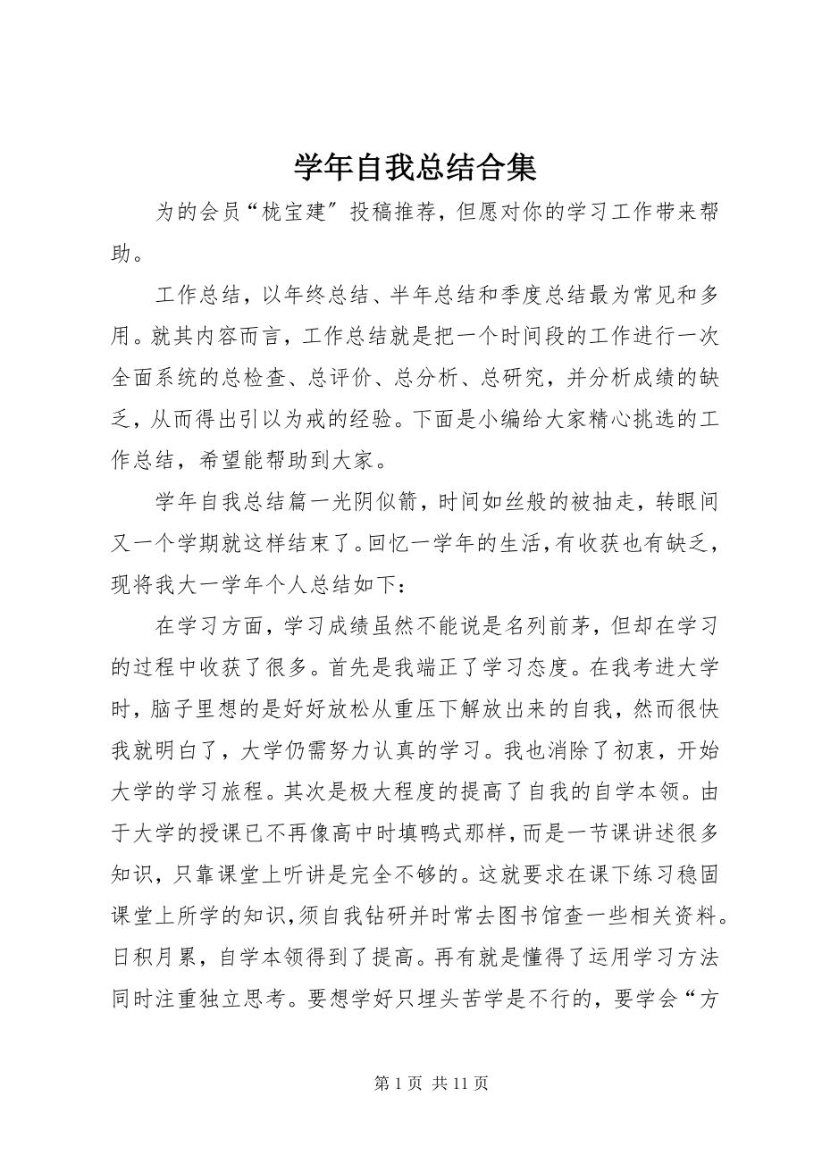 2023年自我总结合集.docx_第1页