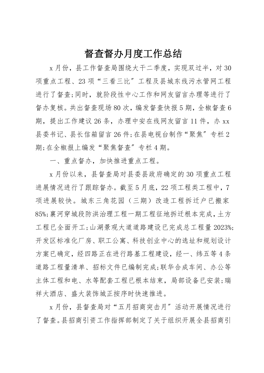 2023年督查督办月度工作总结新编.docx_第1页