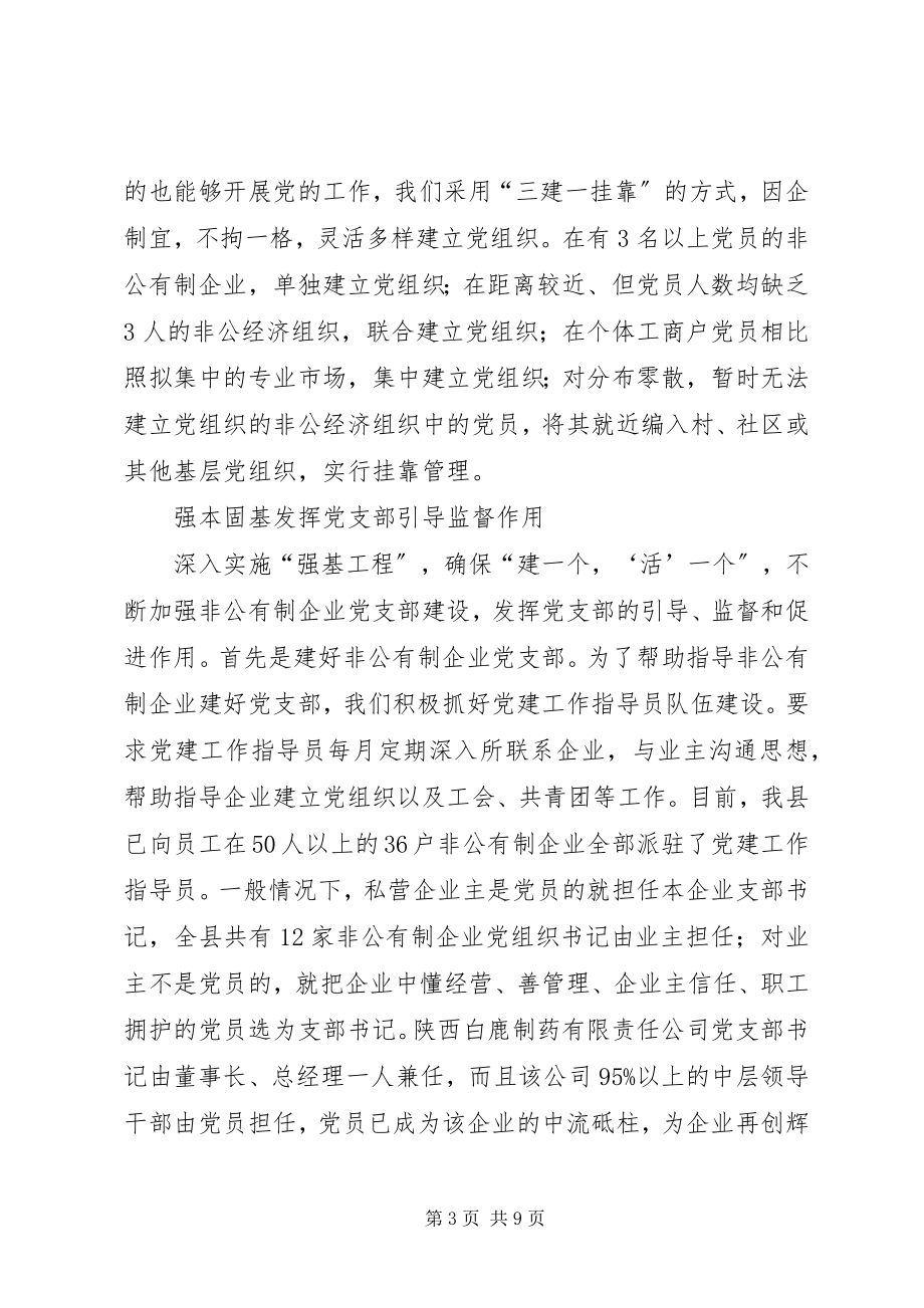 2023年因企制宜建管并重开创非公有制企业党建工作新局面.docx_第3页