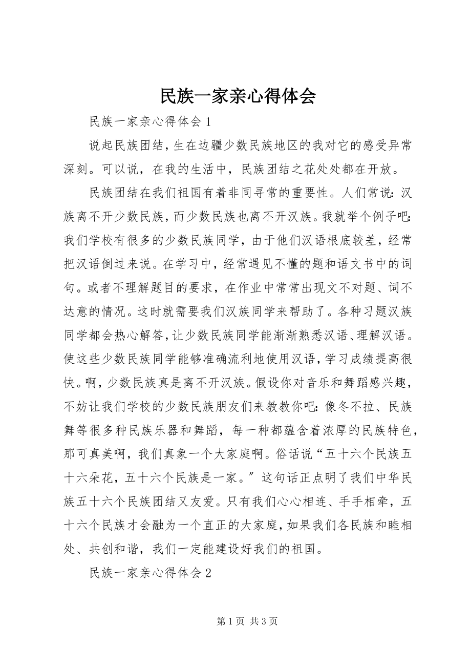 2023年民族一家亲心得体会.docx_第1页