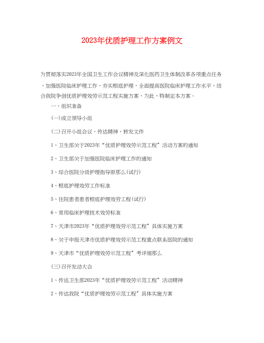 2023年优质护理工作计划例文.docx_第1页