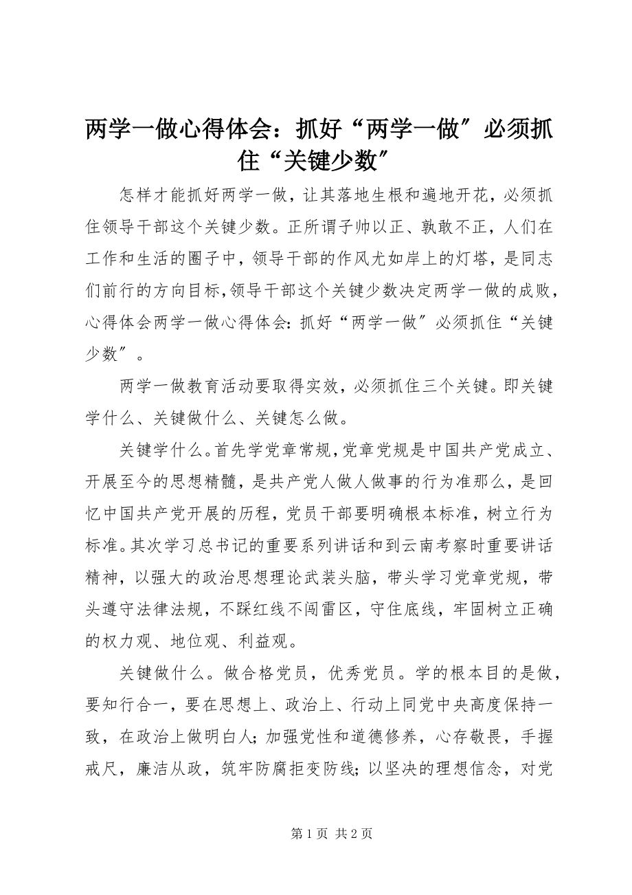 2023年两学一做心得体会抓好“两学一做”必须抓住“关键少数”.docx_第1页