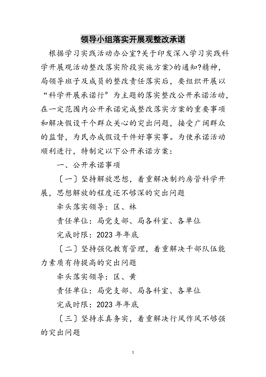 2023年领导小组落实发展观整改承诺范文.doc_第1页