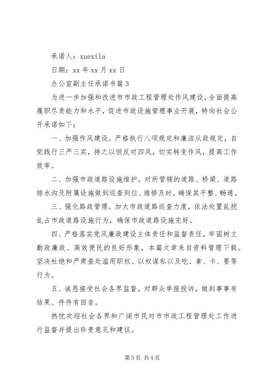 2023年办公室副主任承诺书新编.docx_第3页