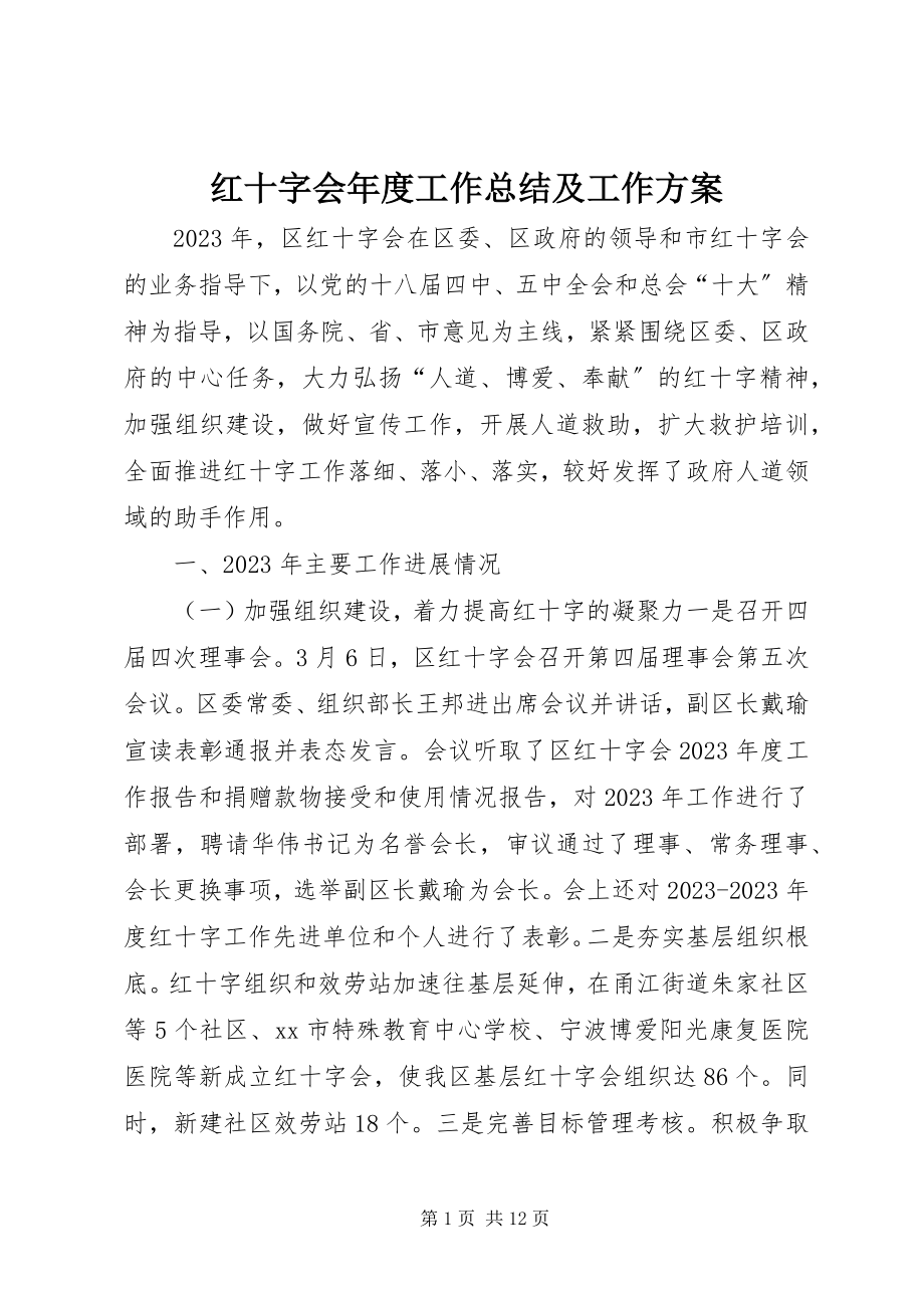 2023年红十字会度工作总结及工作计划.docx_第1页