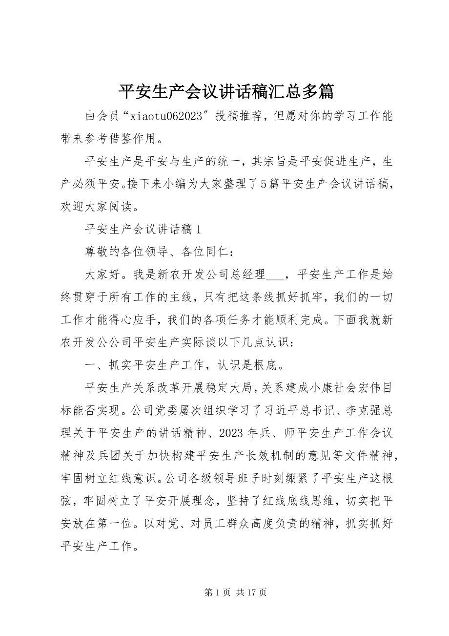 2023年安全生产会议致辞稿汇总多篇新编.docx_第1页