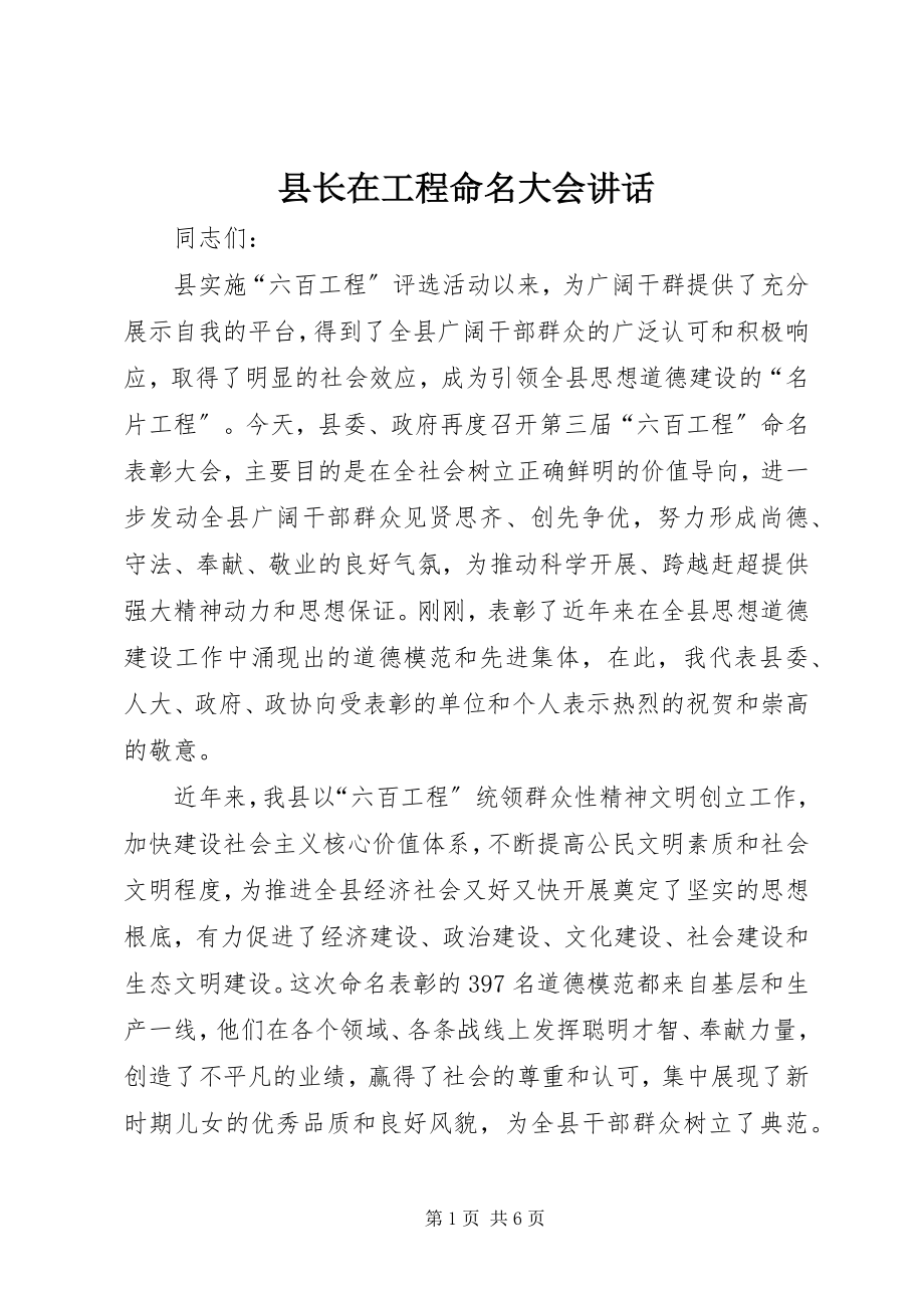 2023年县长在工程命名大会致辞.docx_第1页