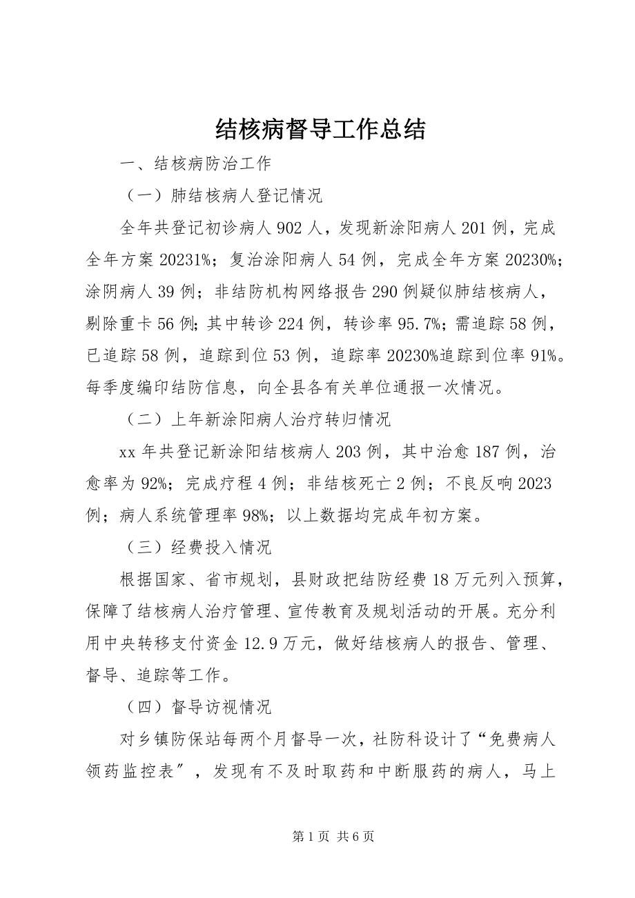 2023年结核病督导工作总结.docx_第1页