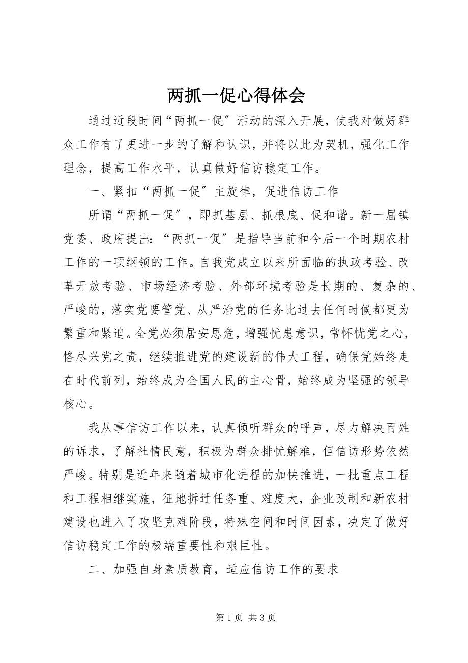 2023年两抓一促心得体会.docx_第1页