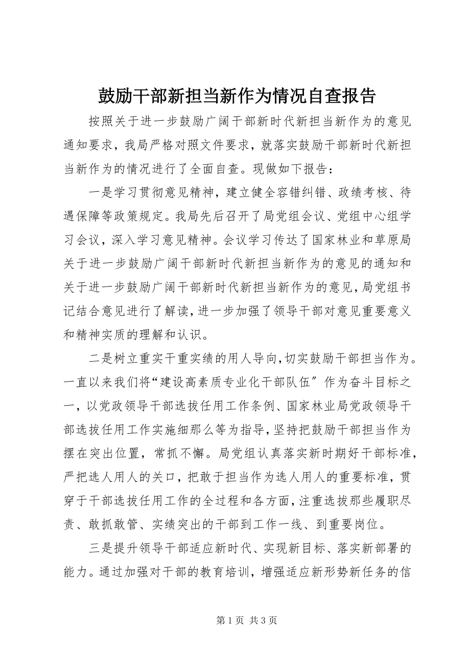 2023年激励干部新担当新作为情况自查报告.docx_第1页