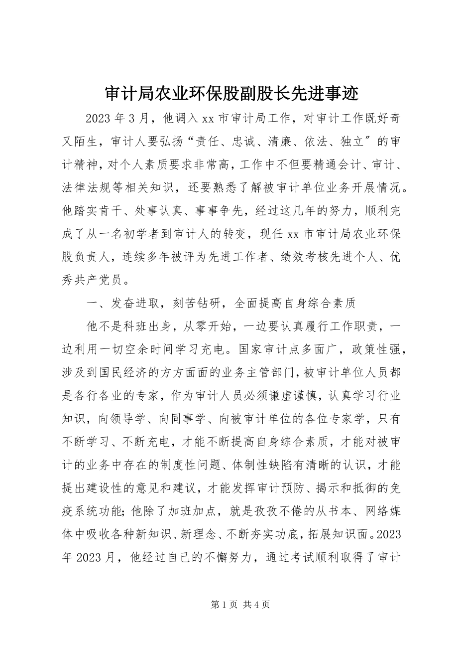 2023年审计局农业环保股副股长先进事迹.docx_第1页