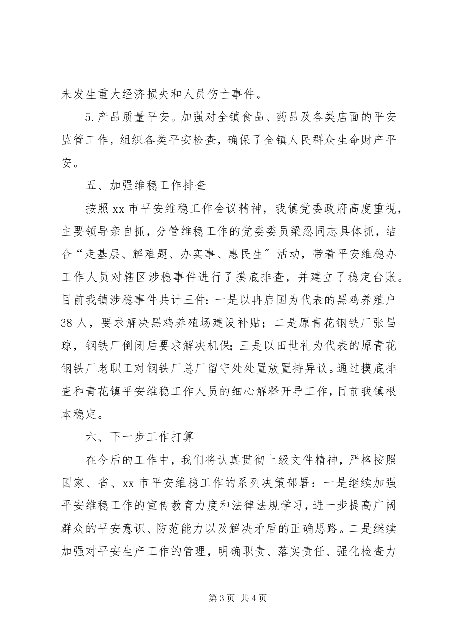 2023年市安全维稳工作会议精神的情况汇报.docx_第3页