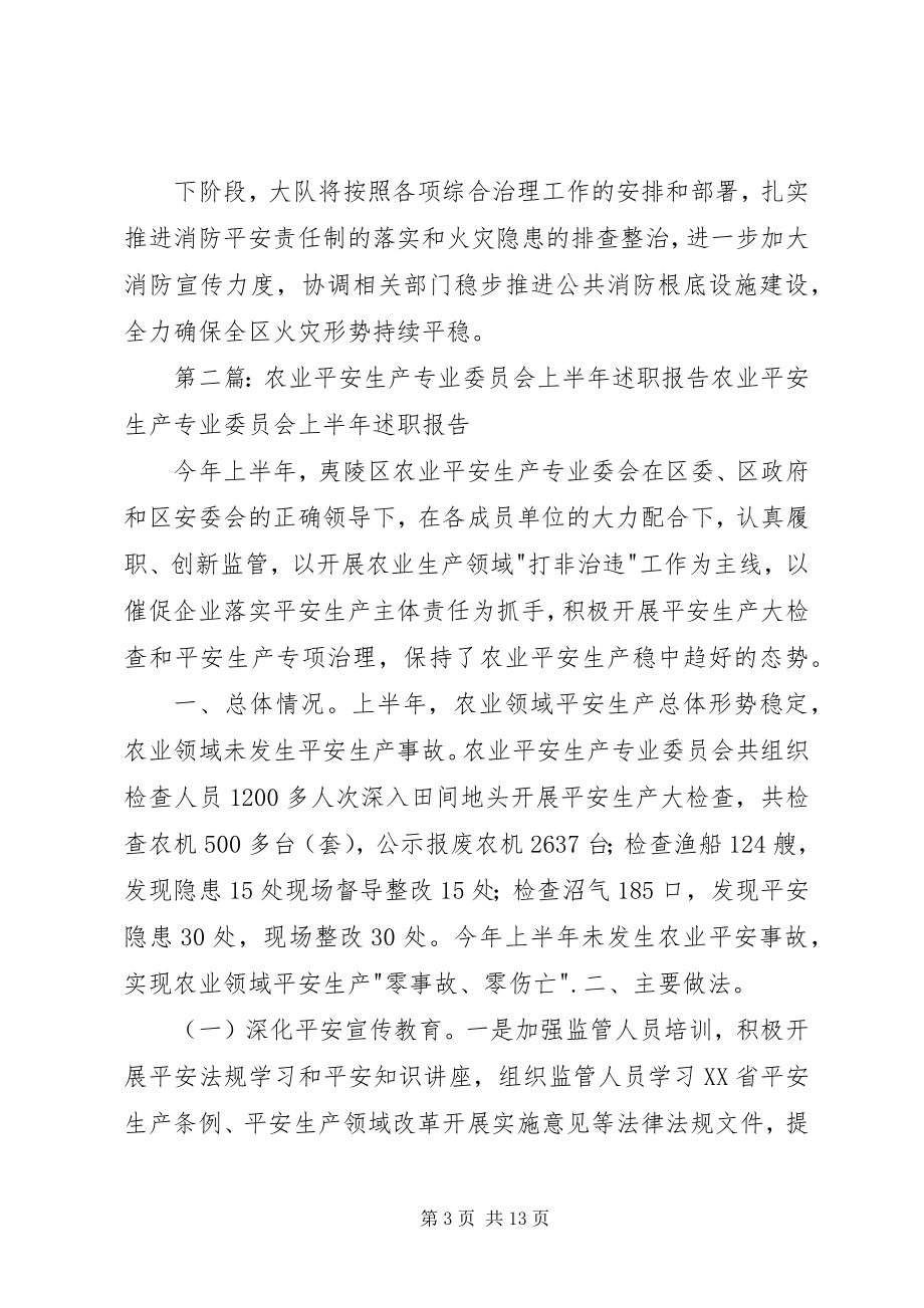 2023年消防安全生产专业委员会上半年述职报告.docx_第3页