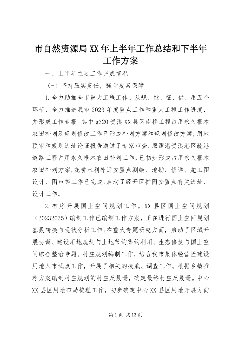 2023年市自然资源局上半年工作总结和下半年工作计划.docx_第1页