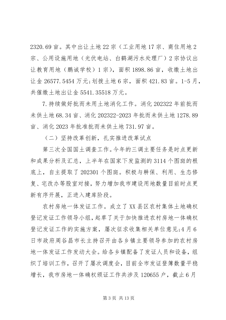 2023年市自然资源局上半年工作总结和下半年工作计划.docx_第3页