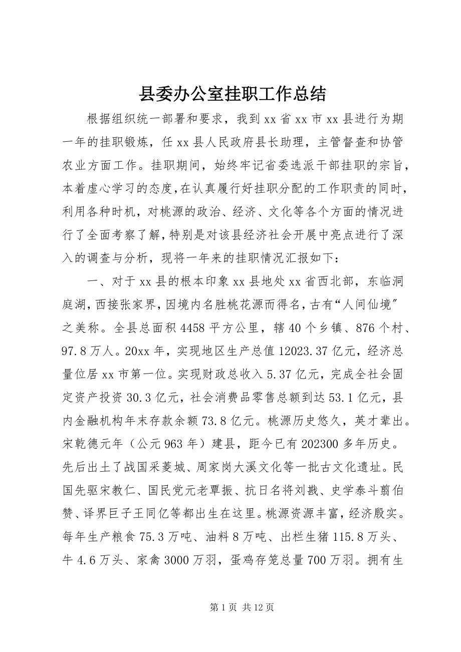 2023年县委办公室挂职工作总结.docx_第1页