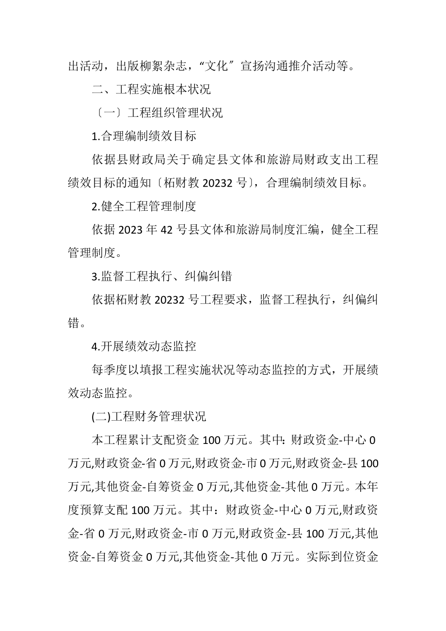 2023年文化体育活动经费绩效评价工作报告.docx_第2页