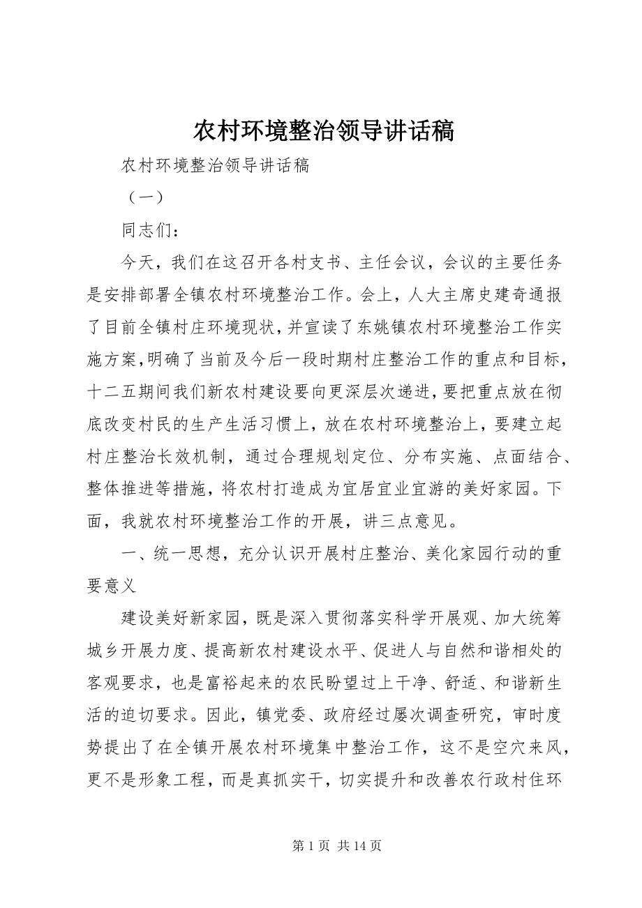 2023年农村环境整治领导致辞稿.docx_第1页