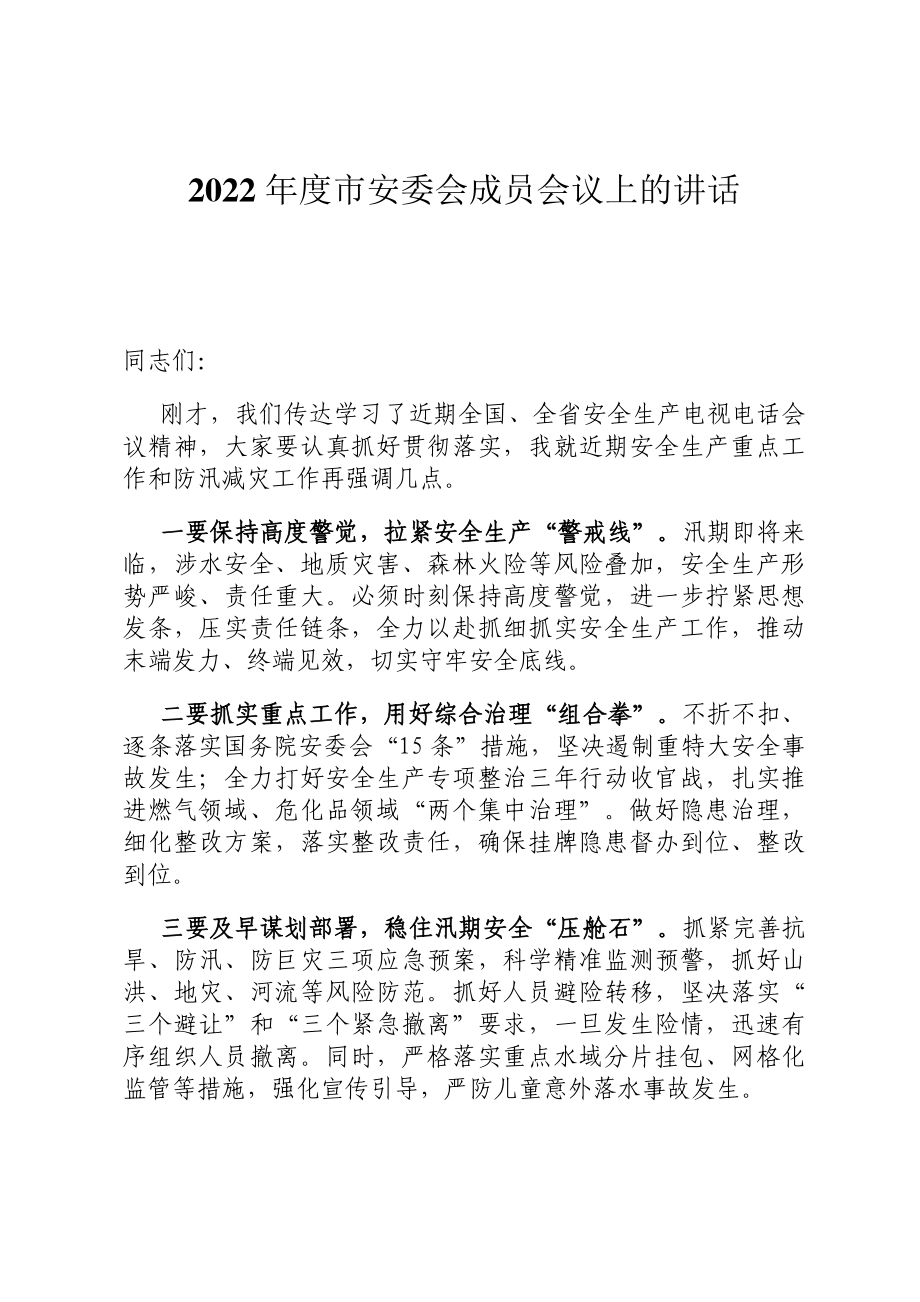 2022年度市安委会成员会议上的讲话.docx_第1页