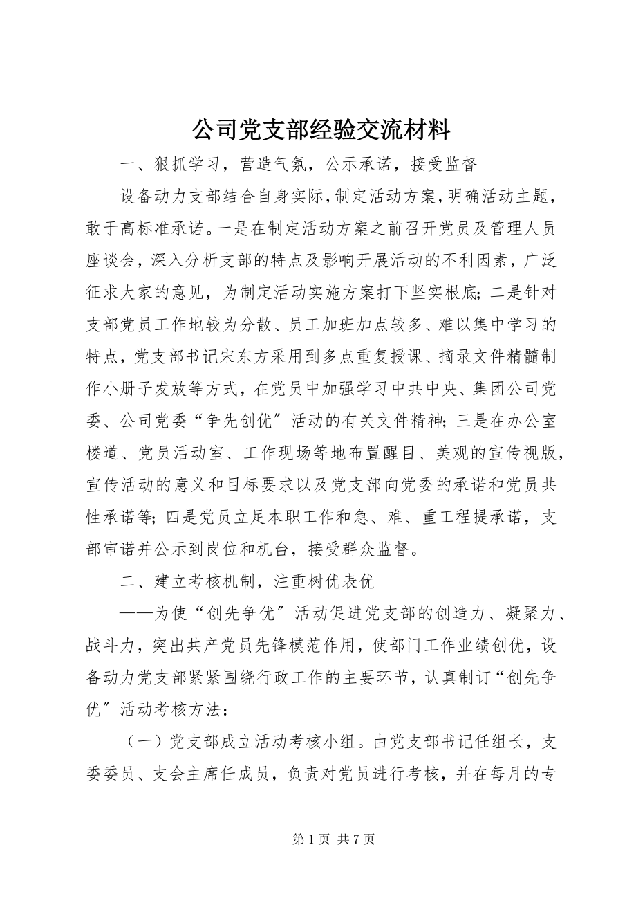 2023年公司党支部经验交流材料.docx_第1页