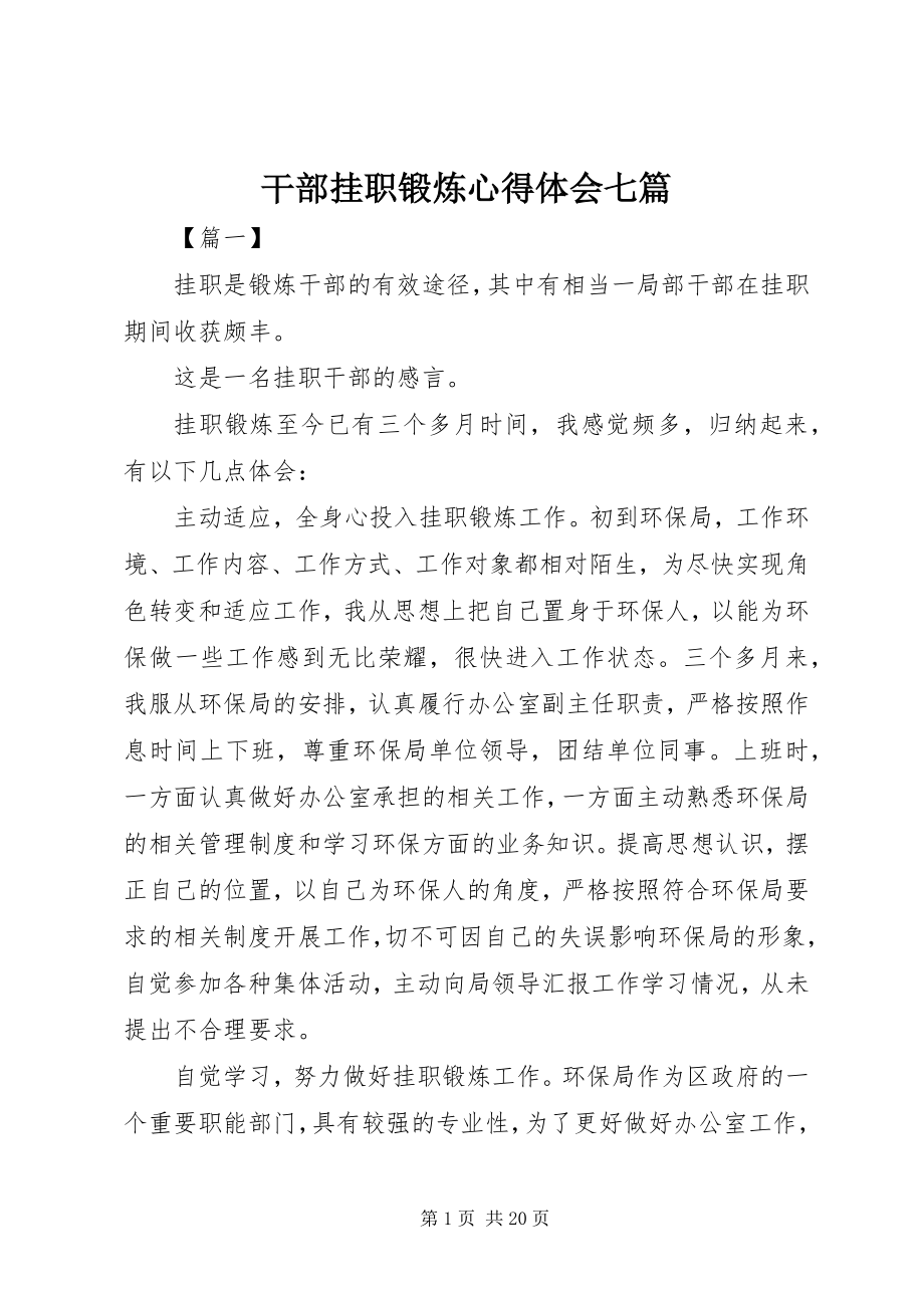 2023年干部挂职锻炼心得体会七篇.docx_第1页