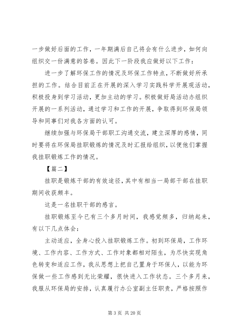 2023年干部挂职锻炼心得体会七篇.docx_第3页