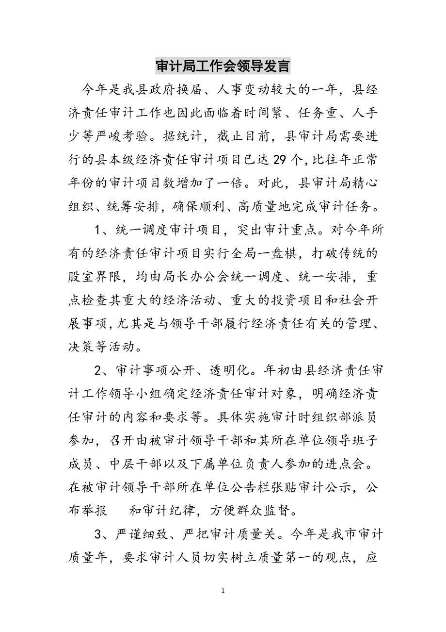 2023年审计局工作会领导发言范文.doc_第1页