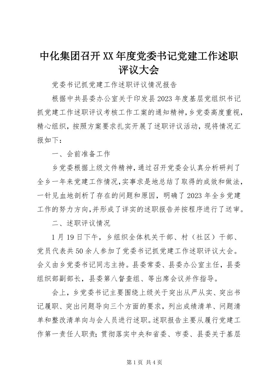 2023年中化集团召开度党委书记党建工作述职评议大会.docx_第1页