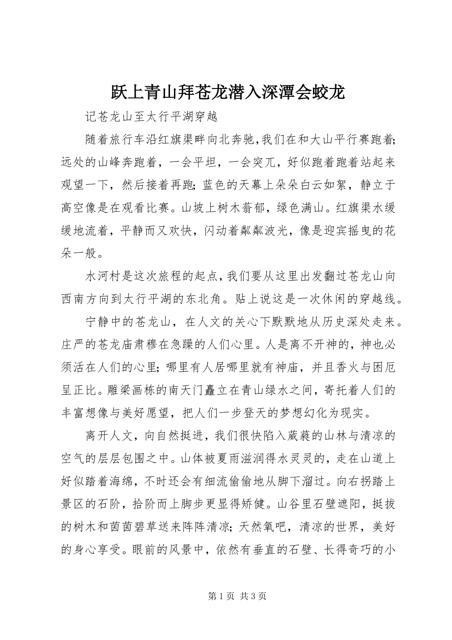 2023年跃上青山拜苍龙潜入深潭会蛟龙.docx_第1页