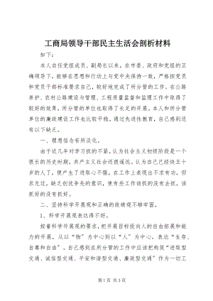 2023年工商局领导干部民主生活会剖析材料.docx