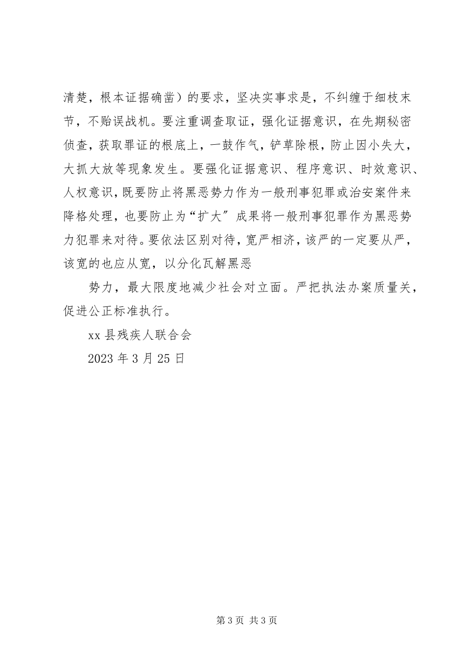 2023年残疾人联合会扫黑除恶工作计划新编.docx_第3页