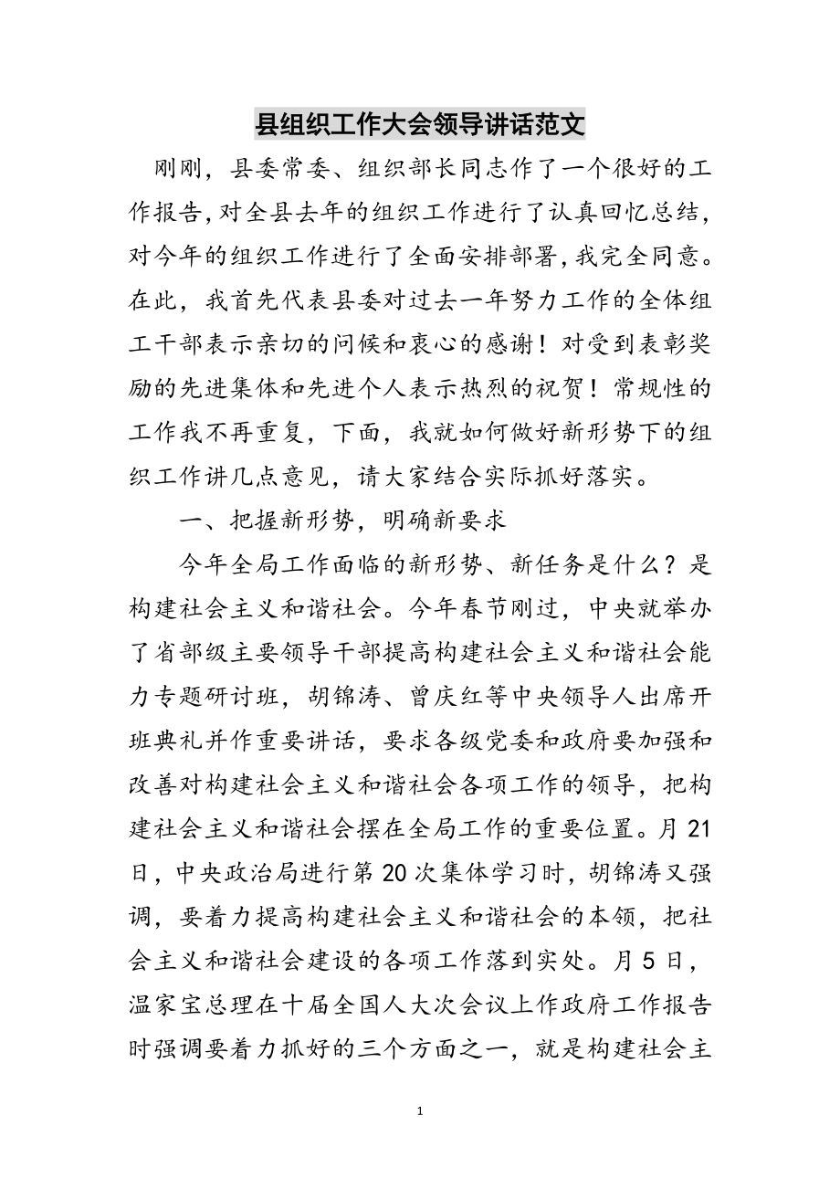 2023年县组织工作大会领导讲话范文范文.doc_第1页