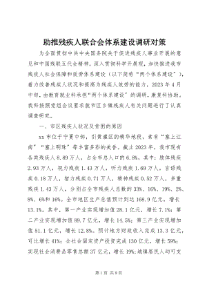 2023年助推残疾人联合会体系建设调研对策.docx