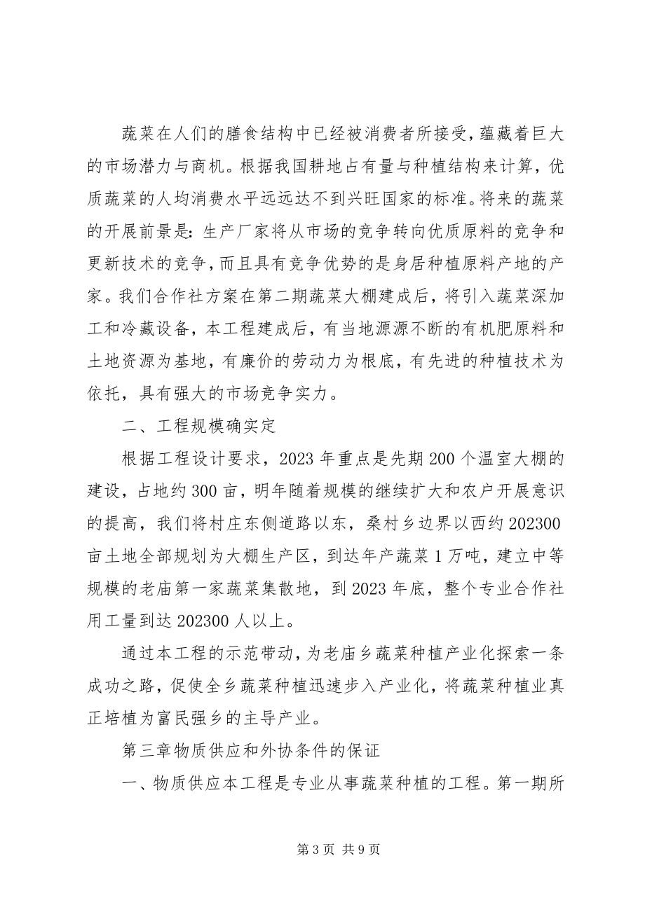 2023年蔬菜大棚建设可行性报告.docx_第3页