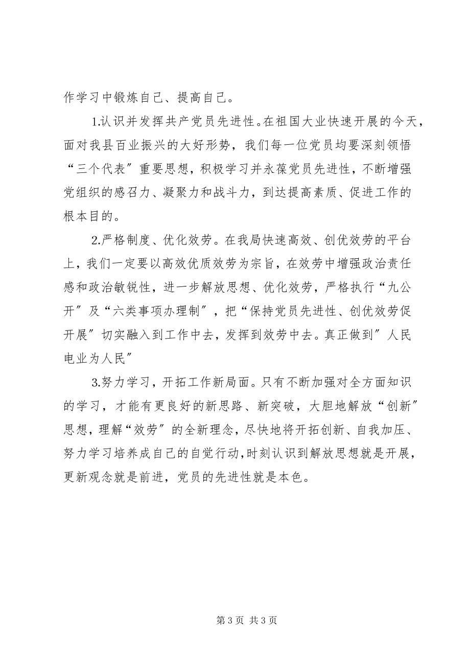 2023年保先学习情况及体会农电局新编.docx_第3页