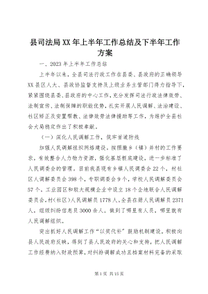 2023年县司法局上半年工作总结及下半年工作计划2.docx