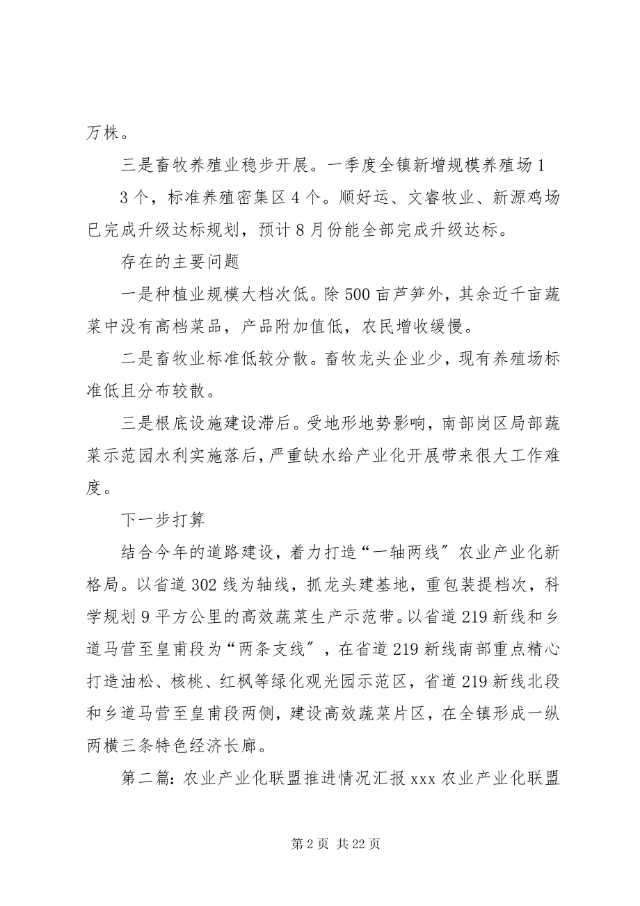 2023年农业产业化推进会汇报材料.docx_第2页