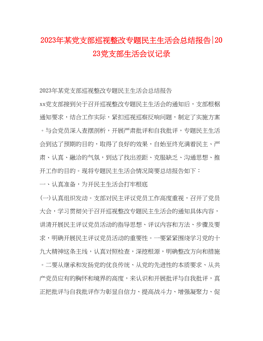 2023年某党支部巡视整改专题民主生活会总结报告党支部生活会议记录.docx_第1页