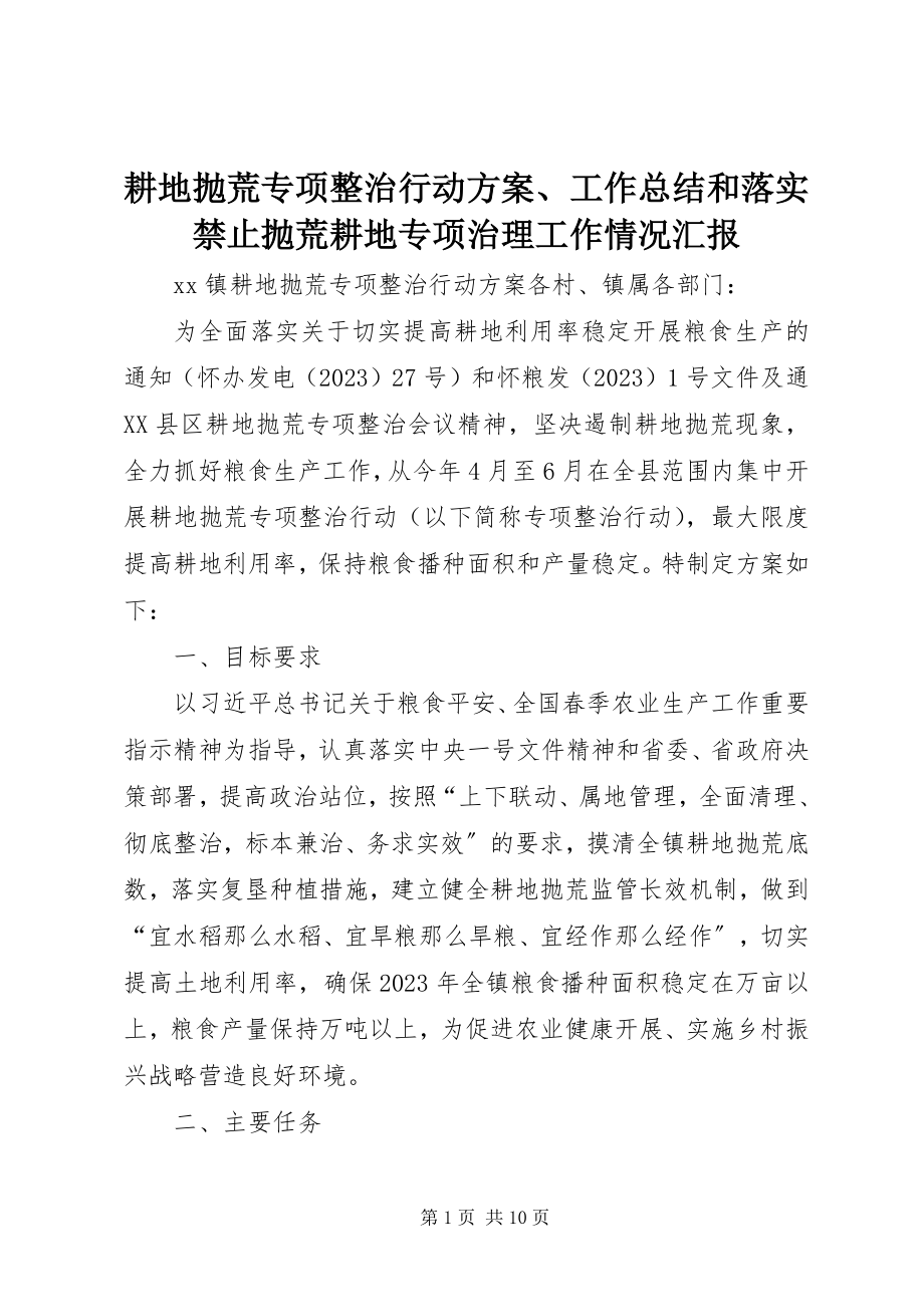 2023年耕地抛荒专项整治行动方案、工作总结和落实禁止抛荒耕地专项治理工作情况汇报.docx_第1页