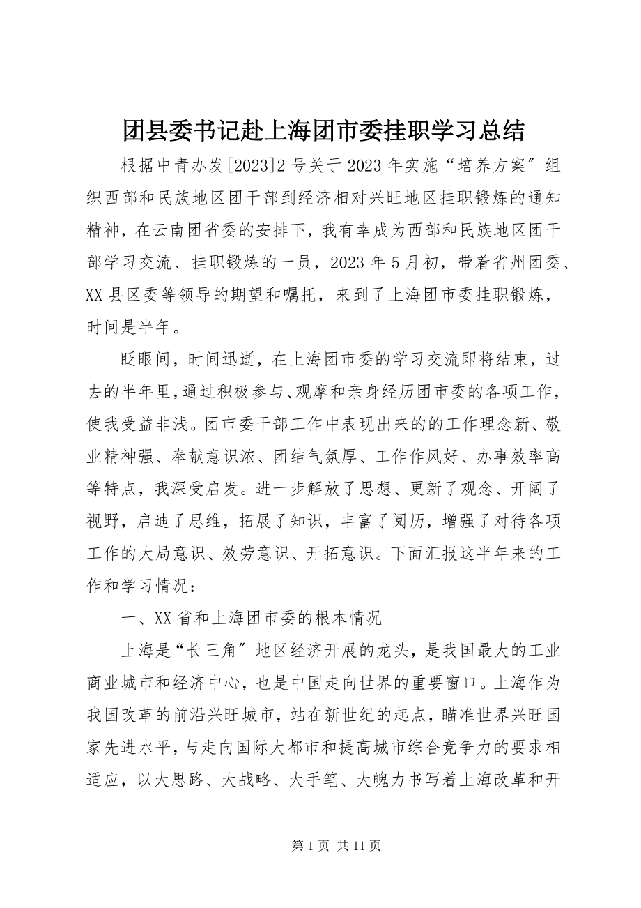 2023年团县委书记赴上海团市委挂职学习总结.docx_第1页