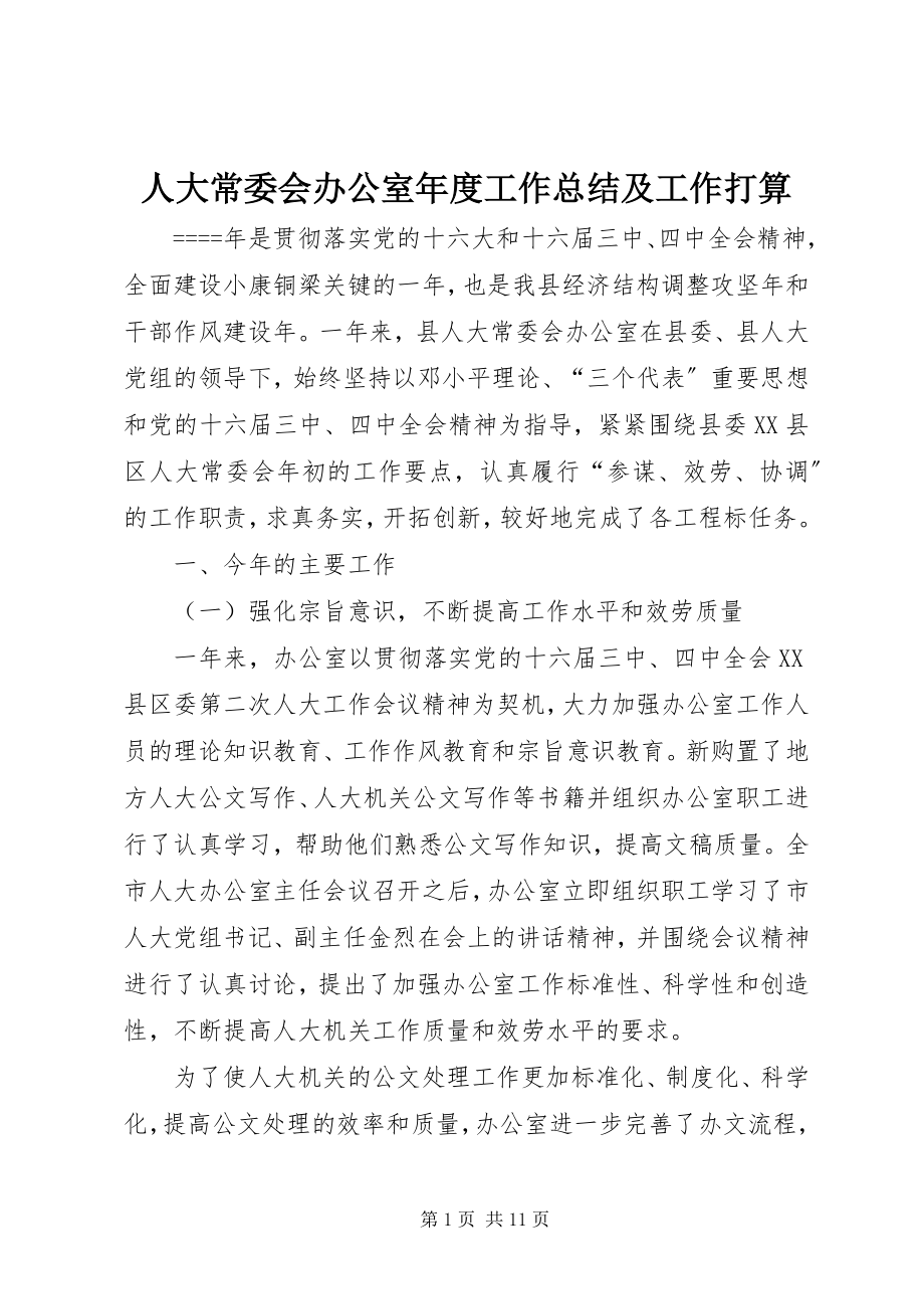 2023年人大常委会办公室年度工作总结及工作打算.docx_第1页