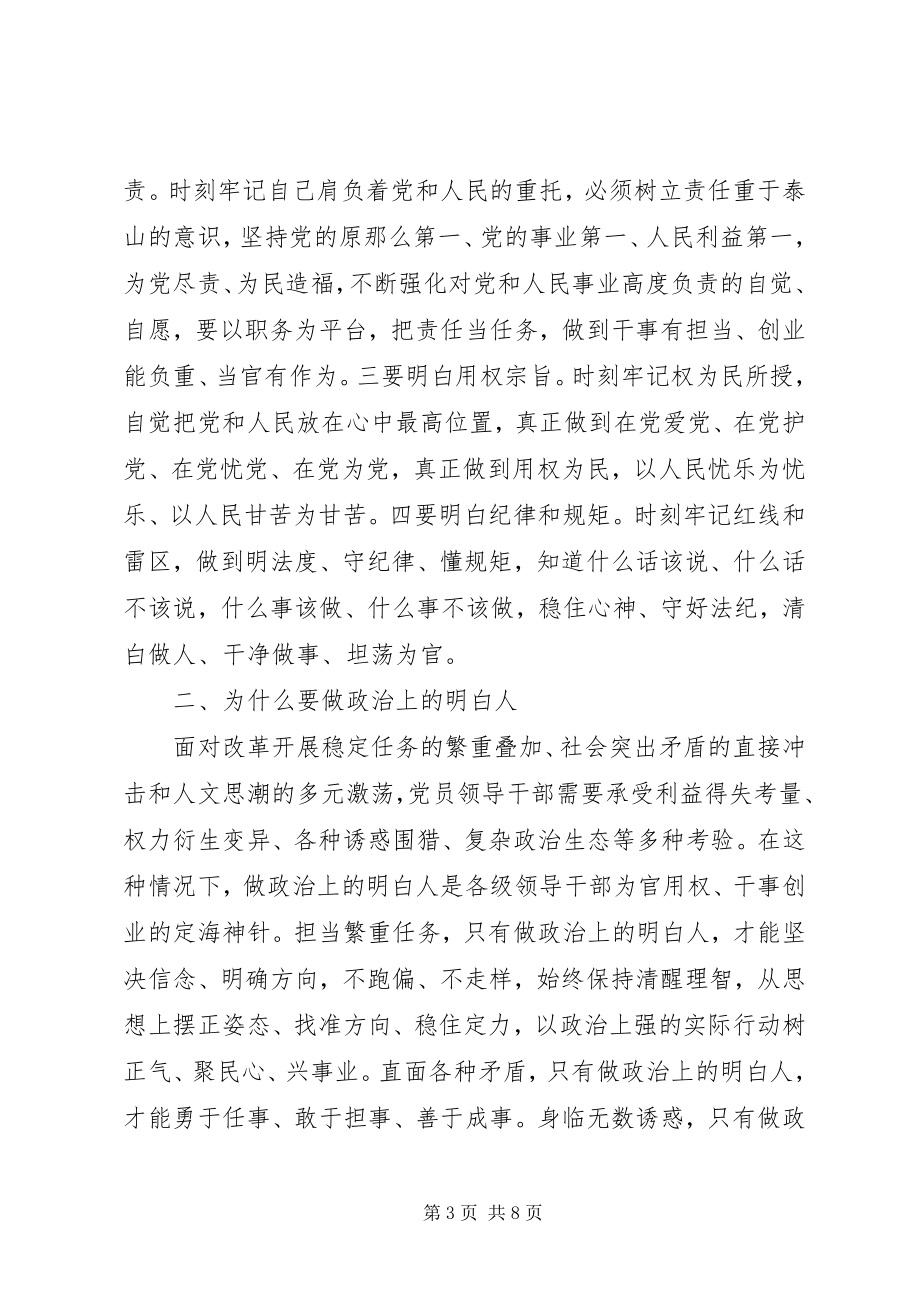 2023年讲规矩有纪律做纪律合格的明白人讨论方案.docx_第3页