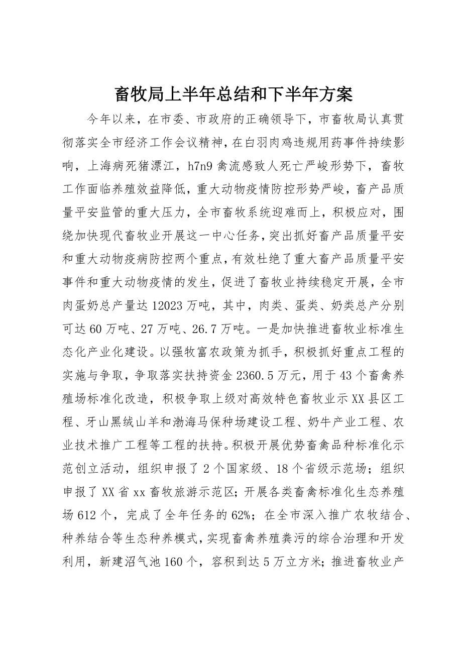 2023年畜牧局上半年总结和下半年计划新编.docx_第1页