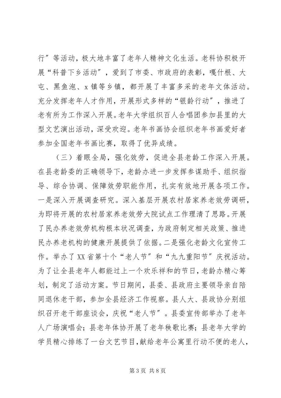 2023年县基层老龄办主任会议报告.docx_第3页