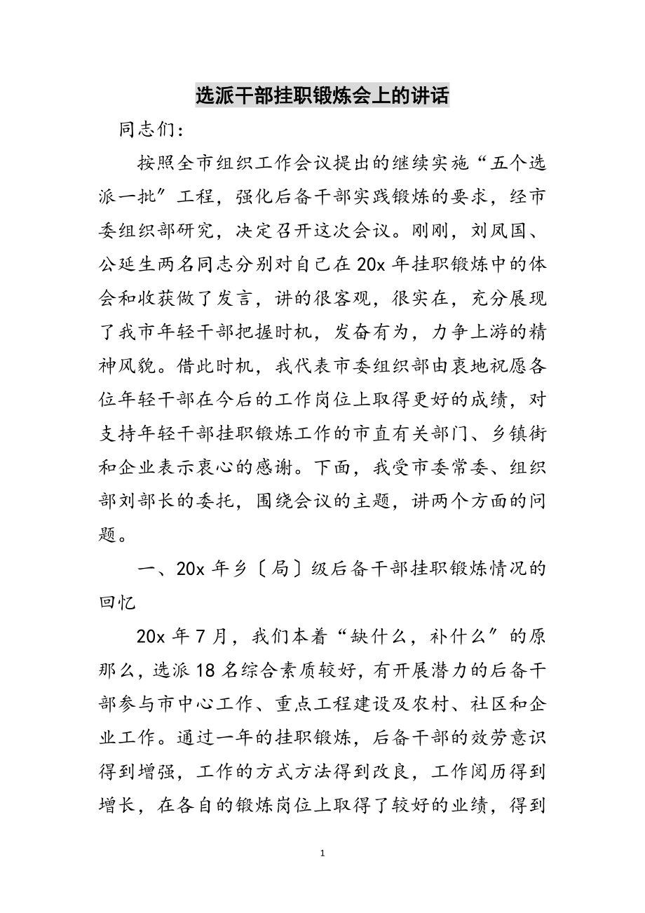 2023年选派干部挂职锻炼会上的讲话范文.doc_第1页