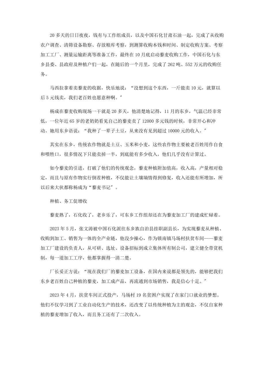 2023年藜麦熟了石化收了老乡乐了.docx_第3页