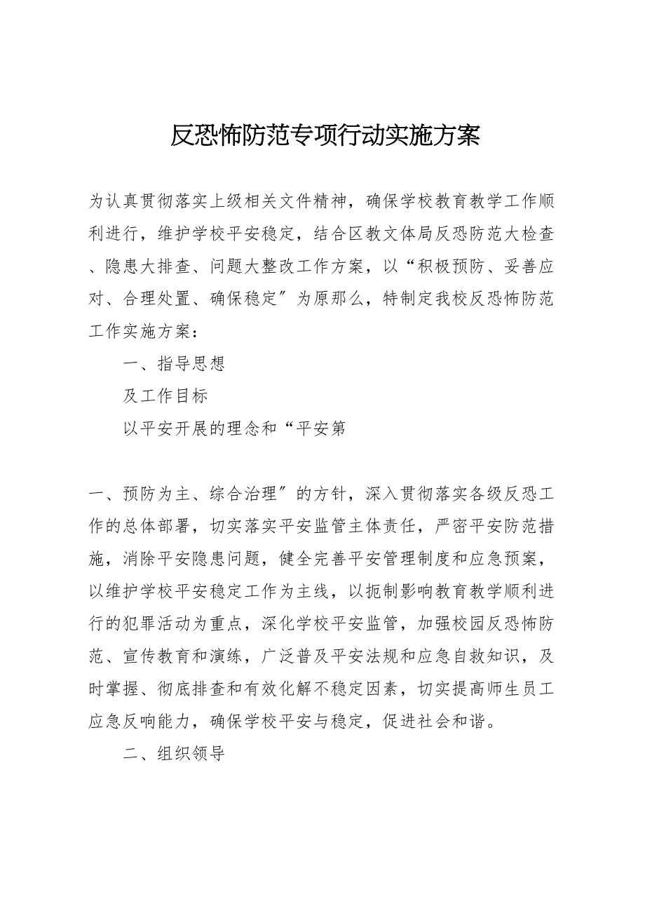 2023年反恐怖防范专项行动实施方案.doc_第1页