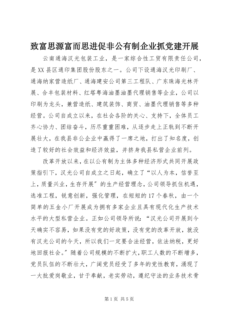 2023年致富思源富而思进促非公有制企业抓党建发展.docx_第1页