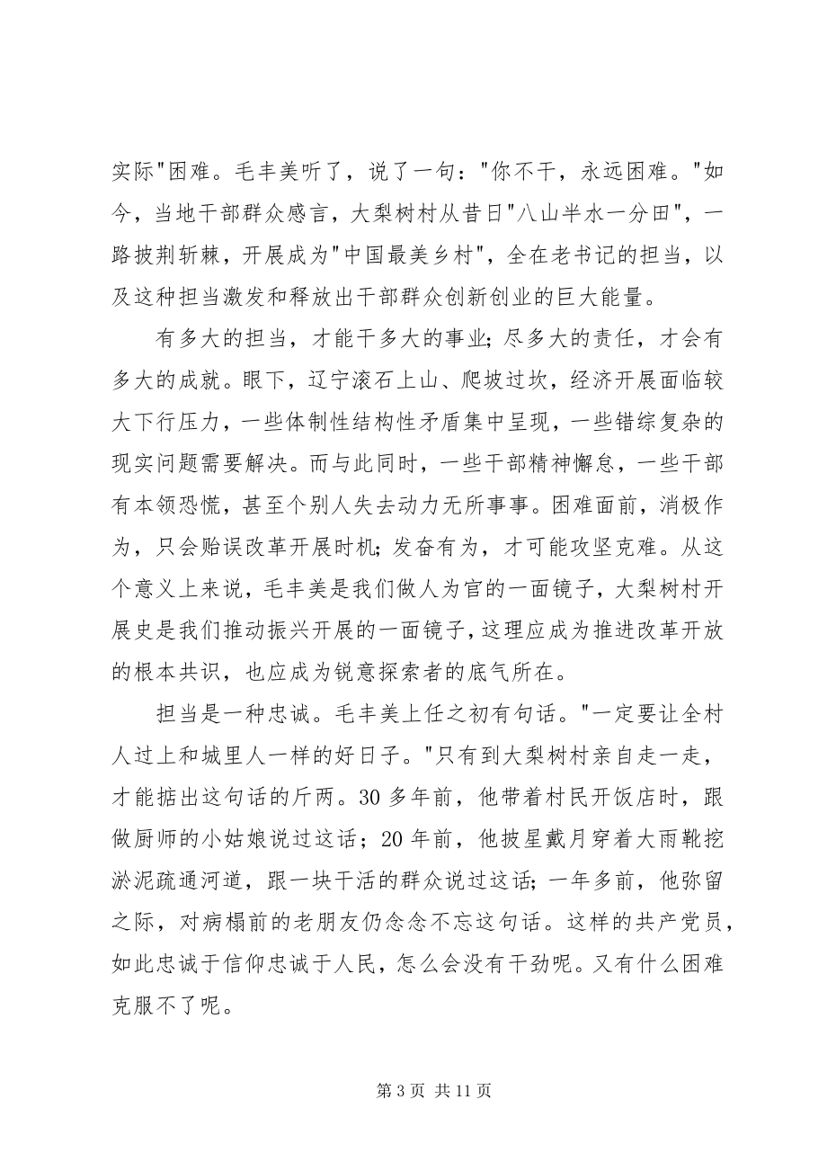 2023年学习毛丰美先进事迹心得体会6篇.docx_第3页